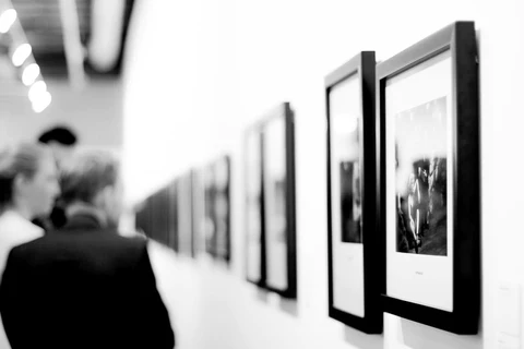 Moosa | Galerie
